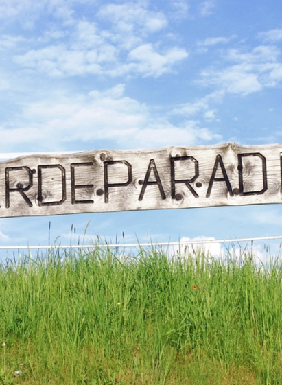 Reiterhof-Logo-Murtal-Steiermark | Reiterhof Schmiedt | © Reiterhof Schmiedt