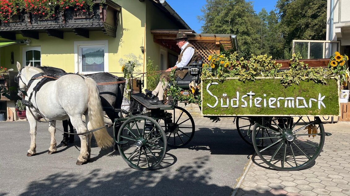 Reiterhof Schupanez - Impressionen #2.1