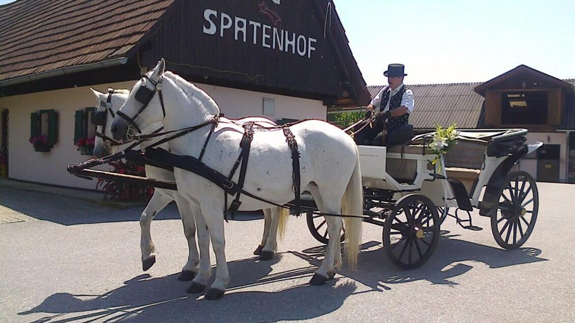 Eine Pferdekutsche mit zwei weißen Pferden steht vor einem traditionellen Gebäude. Der Kutscher trägt eine Tracht und die Umgebung ist sonnig und ländlich. | © Spatenhof
