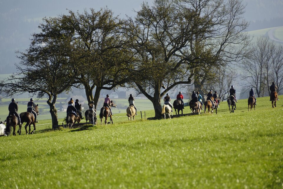 Reitstall Stockner - Impression #1 | © Anton Stockner