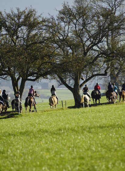 Pferdehof Stockner_Ausritt_Oststeiermark | © Anton Stockner