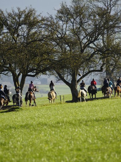 Horse farm Stockner_Horse ride_Eastern Styria | © Anton Stockner