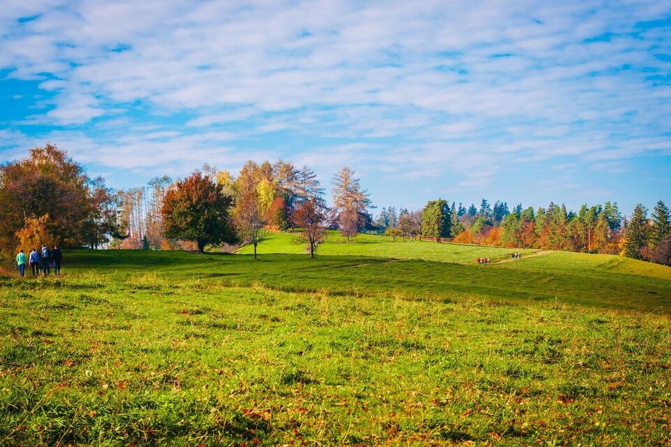 Remschniggalm - Naturpark Juwel - Impression #1 | © RMSW GmbH webquartier