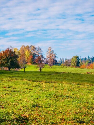 Naturpark Südsteiermark_Remschnigalm | TV Südsteeiermark | © RMSW GmbH webquartier