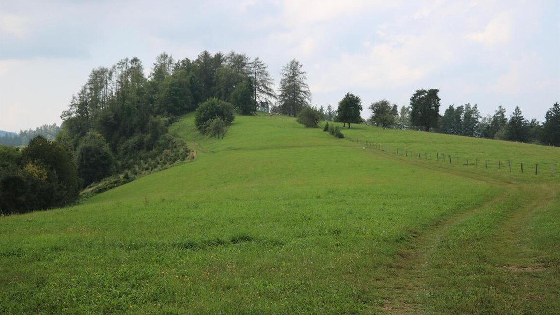 Naturpark Südsteiermark_Remschniggalm | © Julia Kerschbaumer