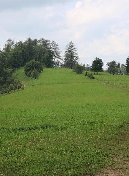 Remschniggalm | © TV Die Südsteirische Weinstraße/Julia Kerschbaumer