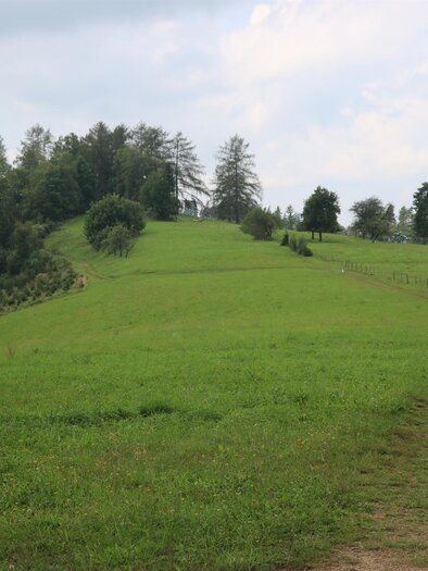 Remschniggalm | © TV Die Südsteirische Weinstraße/Julia Kerschbaumer