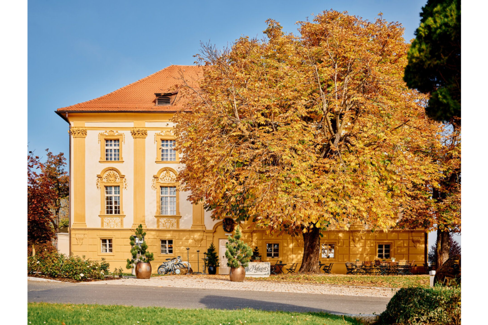 Restaurant  Hotel Hofwirt - Impression #1 | © Tauroa GmbH