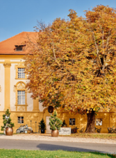 Hofwirt-Außenansicht2-Murtal-Steiermark | © Tauroa GmbH | Tauroa GmbH | © Tauroa GmbH