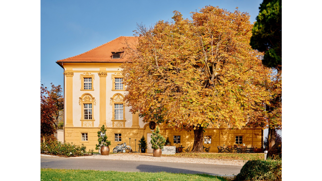 Ein elegantes Gebäude mit gelber Fassade und schönem roten Dach. Ein großer, herbstlich gefärbter Baum steht im Vordergrund. | © Tauroa GmbH