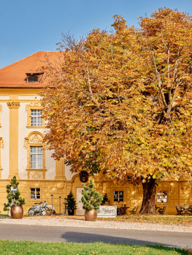 An elegant building with a yellow facade and a beautiful red roof. A large tree, colored in autumn hues, stands in the foreground. | © Tauroa GmbH