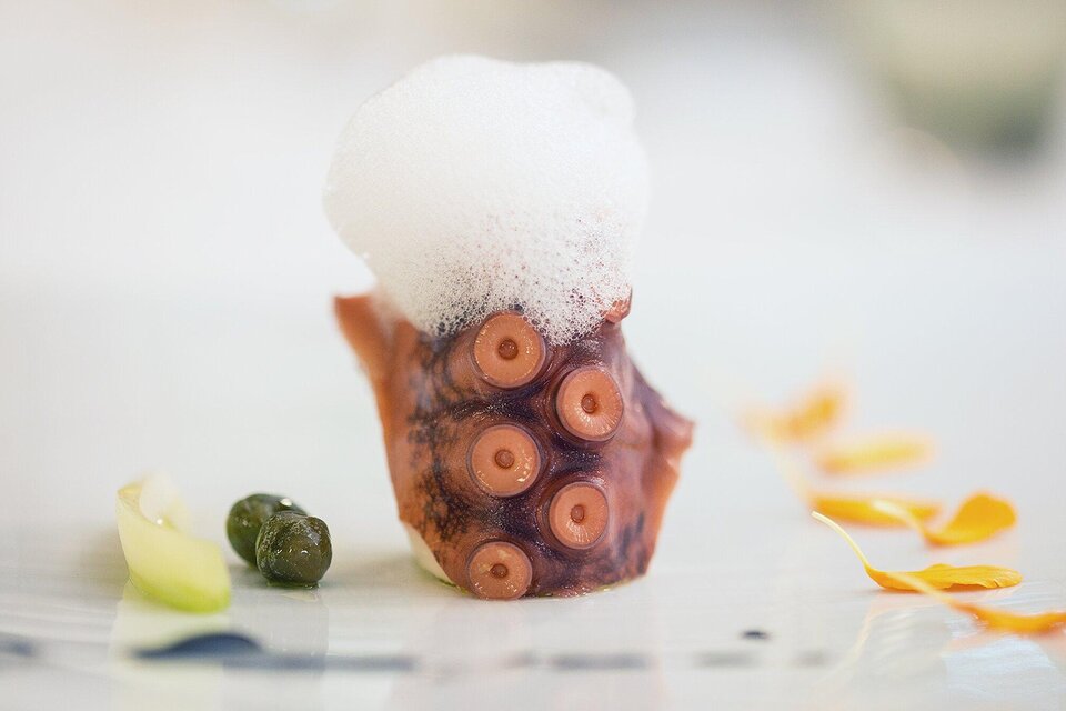 Restaurant Artis - Impression #1 | © Artis