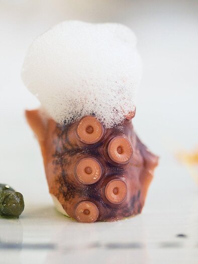 An artistically arranged plate with an octopus arm and a foam decoration. The plate also features some small plants and edible flower petals. | © Artis