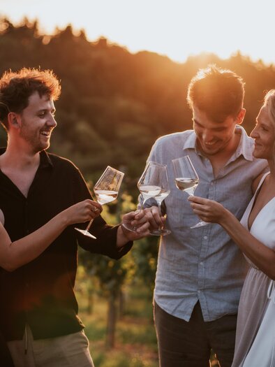 A group of four friends enjoys the sunset in the vineyard. They toast with glasses and laugh together. | © Lukas Elsneg