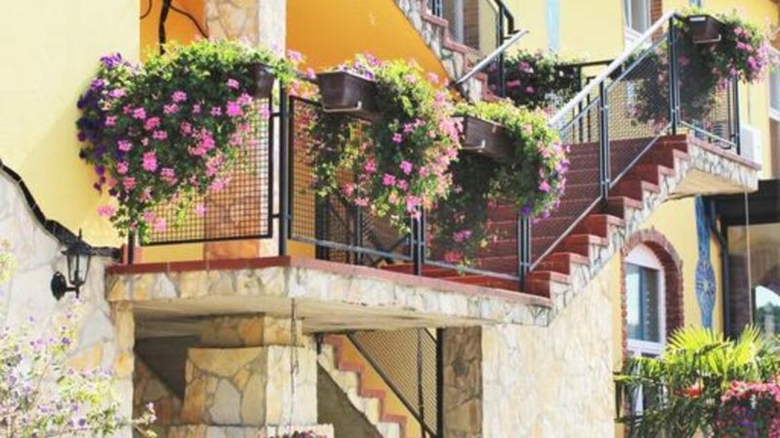 Ein charmantes Haus mit gelber Fassade und blühenden Pflanzen. Die Treppe ist von Pflanzenarrangements umgeben und strahlt einen einladenden Eindruck aus. | © San Marco Hotel GmbH