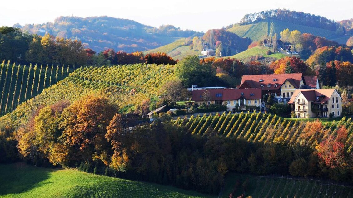 Eine malerische Weinlandschaft mit bunten, herbstlichen Bäumen und sanften Hügeln. Im Vordergrund stehen mehrere Weinfelder und ein idyllisches Bauernhaus. | © Sattler