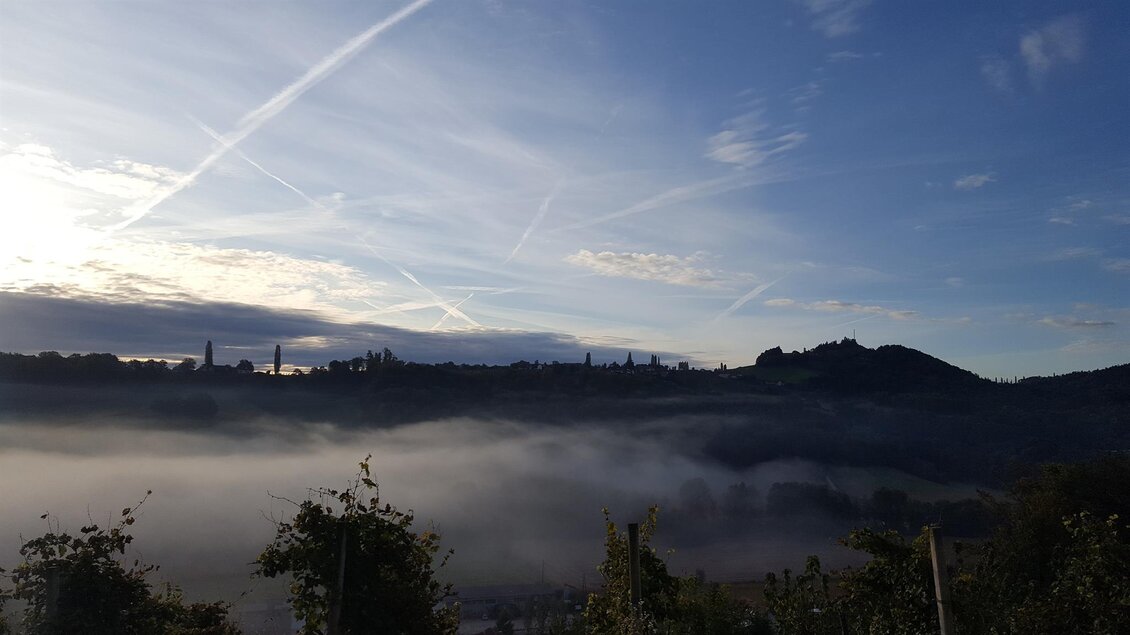 Eine ruhige Landschaft mit Nebel am Morgen. Der Himmel ist blau mit einigen Wolken und Flugzeugstreifen. | © Sattler