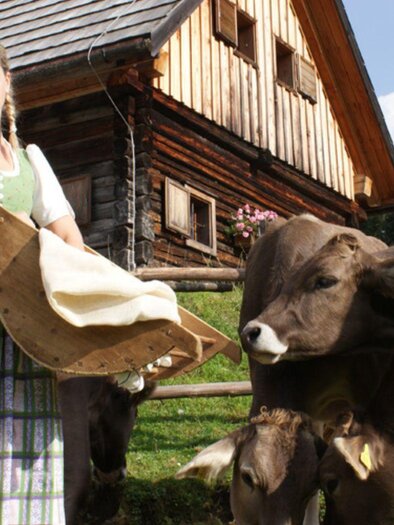 Ritzingerhütte | © Ritzingerhütte