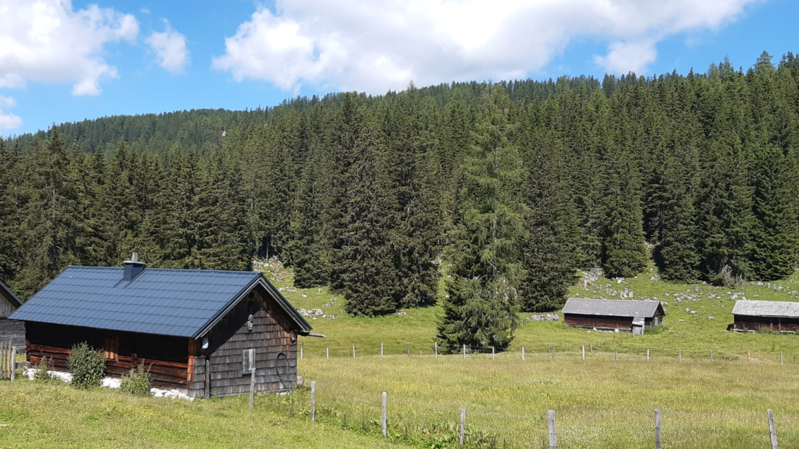 Viehbergalm Sommer | © Daniela Casari