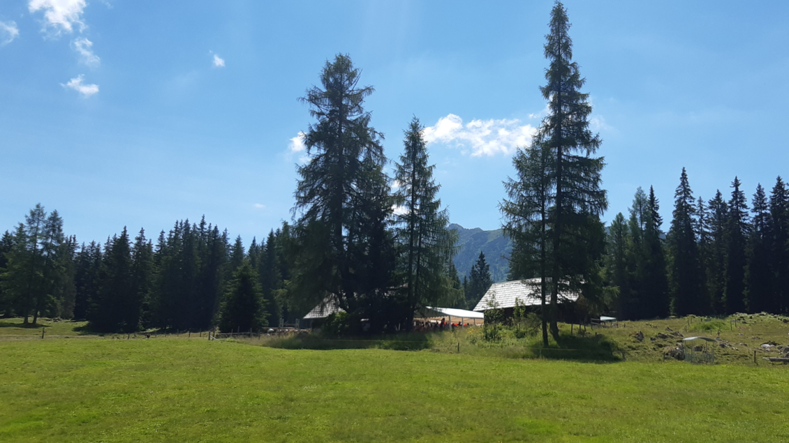 Viehbergalm | © Daniela Casari