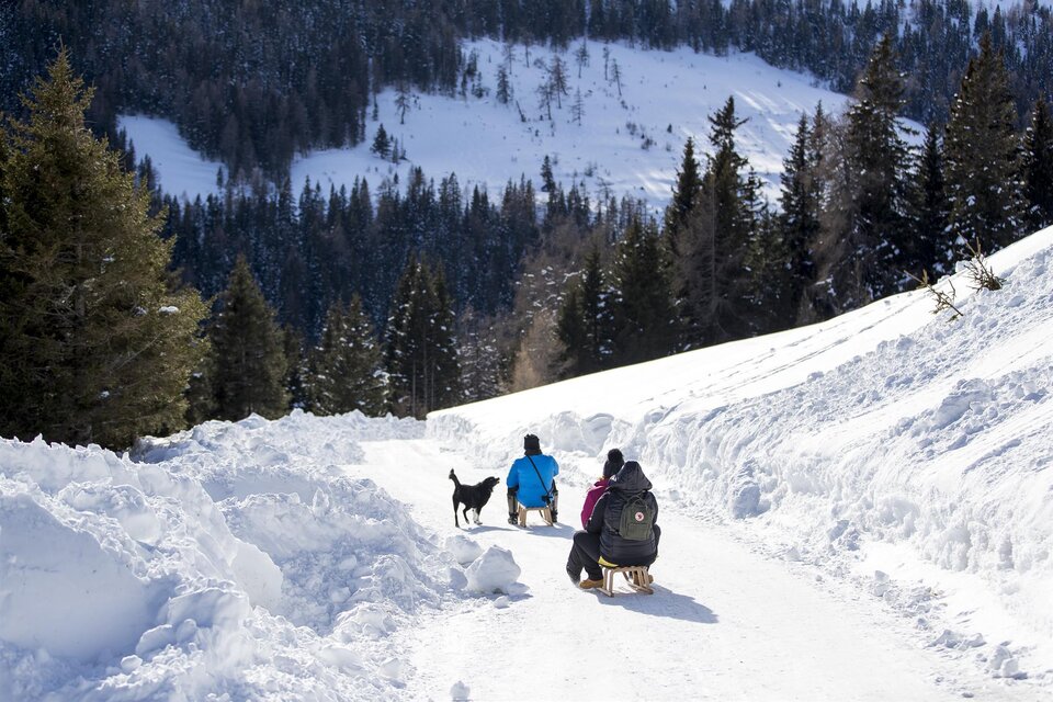 Toboggan Lachtal - Impression #1 | © Tourismusverband Murau