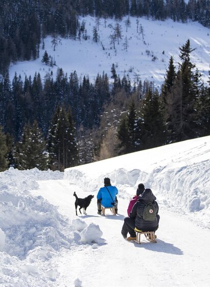 Rodelbahn Lachtal | Tom Lamm | © Tourismusverband Murau