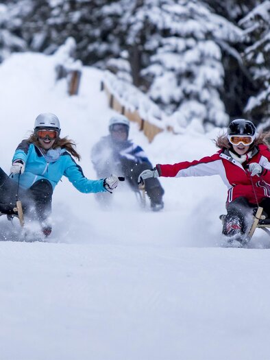 Rodeln Salzstiegl | © Tourismus Salzstiegl - Tom Lamm