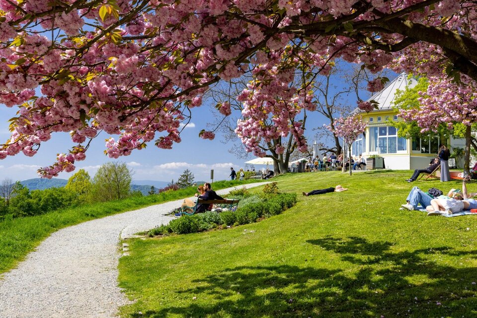 Rosenhain - Impression #1 | © Graz Tourismus-Harry Schiffer