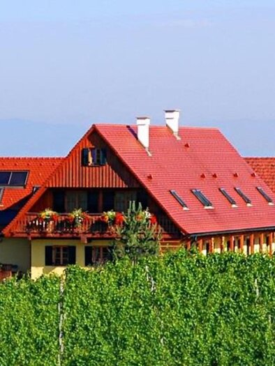 Weingut - Winzerzimmer - Buschenschank Rothschädl | © Margit & Anton Rothschädl | Weingut Rothschädl