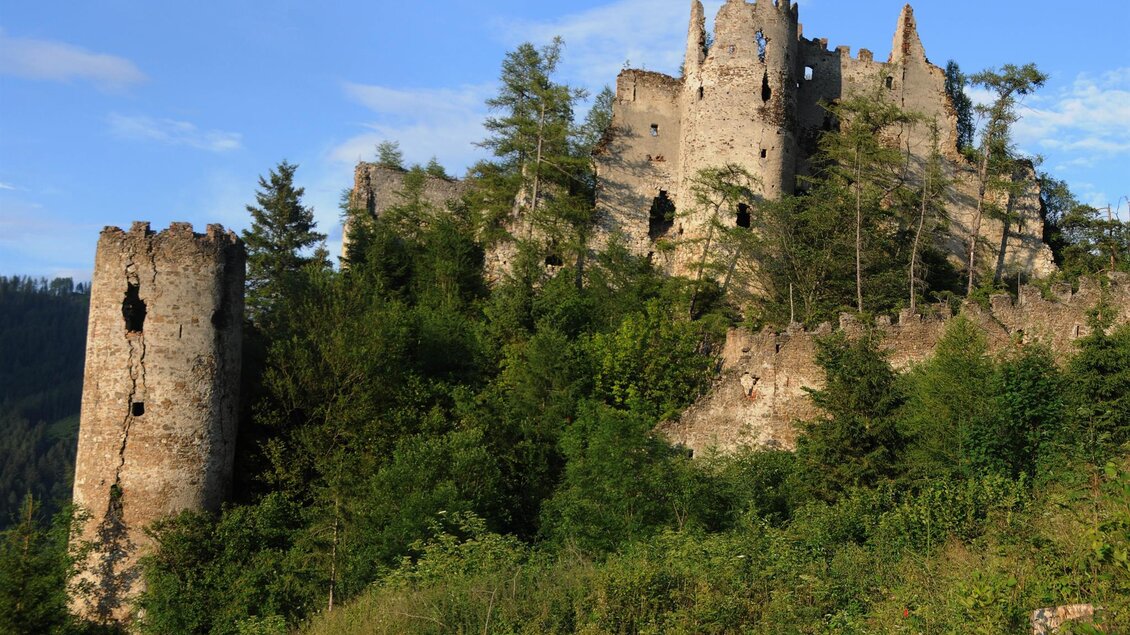 Eine alte Burgruine umgeben von Bäumen und grünen Wiesen. Im Hintergrund strahlt der blaue Himmel. | © Ruine Reifenstein