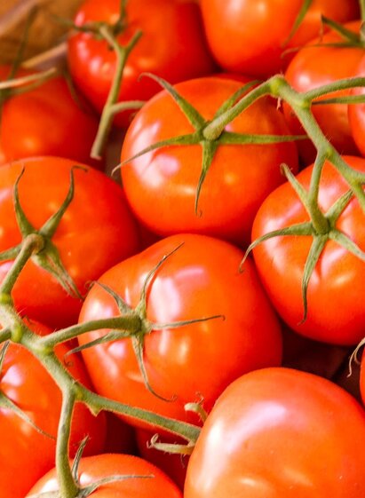 Regionales Gemüse | Stephan Friesinger | © Stephan Friesinger