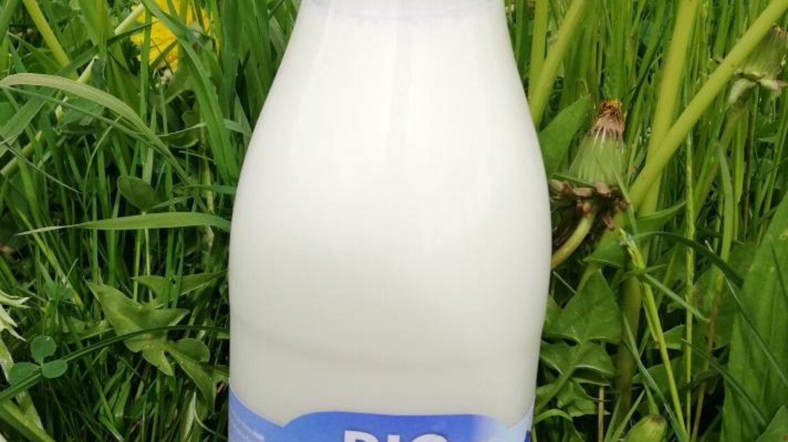 Eine Flasche Bio-Milch steht auf einer Wiese mit vielen Löwenzahnblüten. Der Hintergrund zeigt grüne Gräser unter einem klaren Himmel. | © Markus Putz