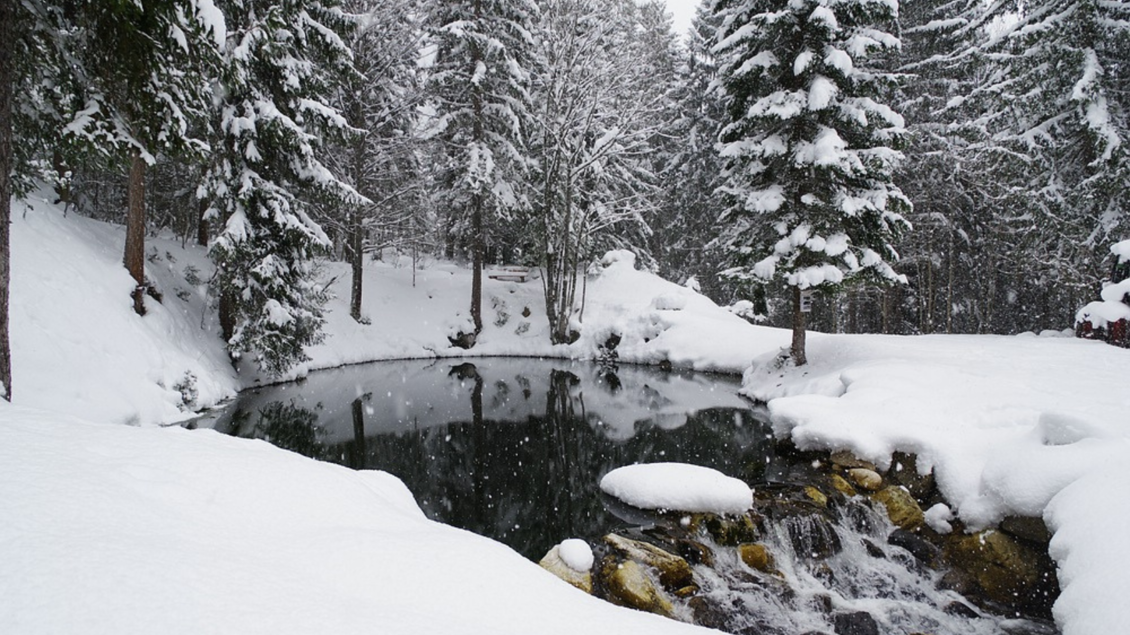 Eine verschneite Landschaft mit hohen Tannenbäumen und einem kleinen, gefrorenen Teich. Sanfter Schnee fällt auf die ruhige Szenerie. | © TVB Ausseerland Salzkammergut/Robert Seebacher