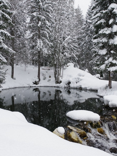 Eine verschneite Landschaft mit hohen Tannenbäumen und einem kleinen, gefrorenen Teich. Sanfter Schnee fällt auf die ruhige Szenerie. | © TVB Ausseerland Salzkammergut/Robert Seebacher