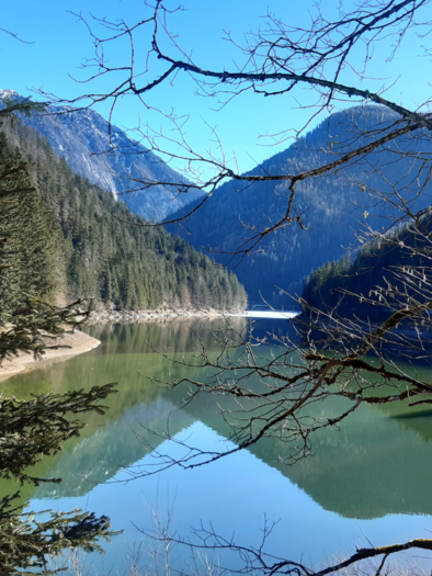 Salza Stausee, Bad Mitterndorf, Frühling | © Daniela Casari