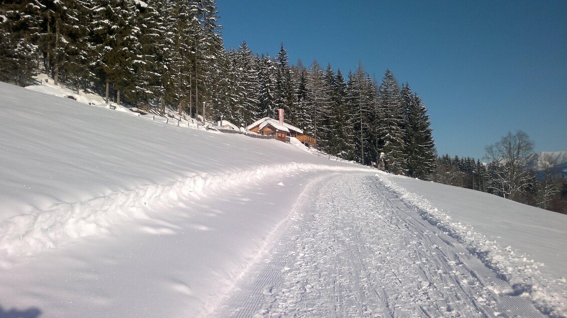 Eine verschneite Landschaft mit einem Weg, der zu einem kleinen Haus führt. Im Hintergrund sind hohe, schneebedeckte Bäume und ein klarer blauer Himmel zu sehen. | © Sattelberghütte