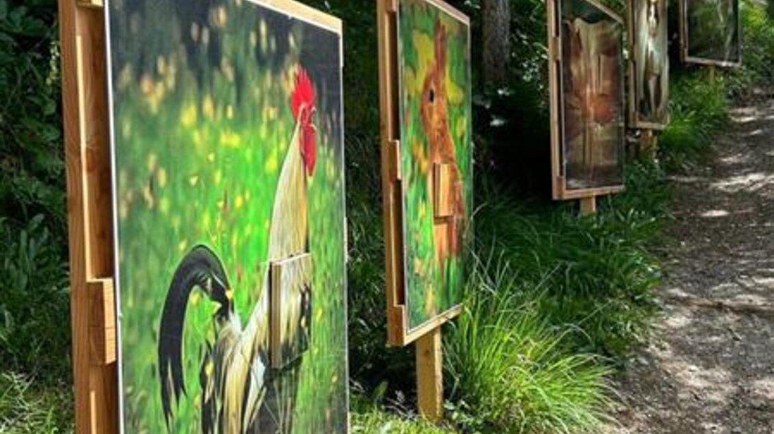 Eine Reihe von großen Bildern zeigt Tiere in einer grünen Umgebung. Die Fotos sind entlang eines schmalen Weges aufgestellt. | © Sattelberghütte