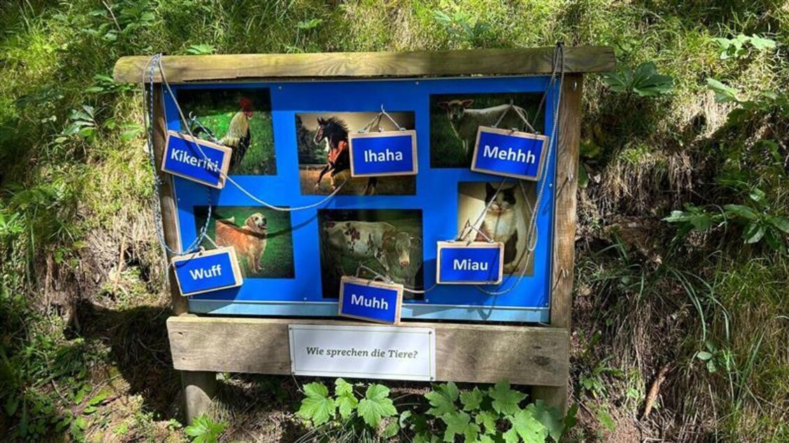 Ein buntes Schild im Wald mit Bildern von Tieren und ihren Lauten. Es zeigt verschiedene Tiergeräusche wie "Miau" und "Wuff". | © Sattelberghütte