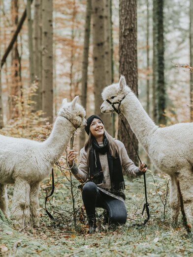 Schöcklblick Alpakas | © Schöcklblick Alpakas-Die Sonne