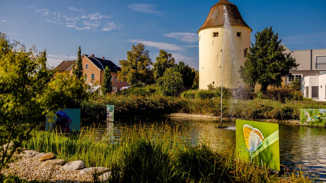 Schölbingerturm in Hartberg | © Oststeiermark Tourismus