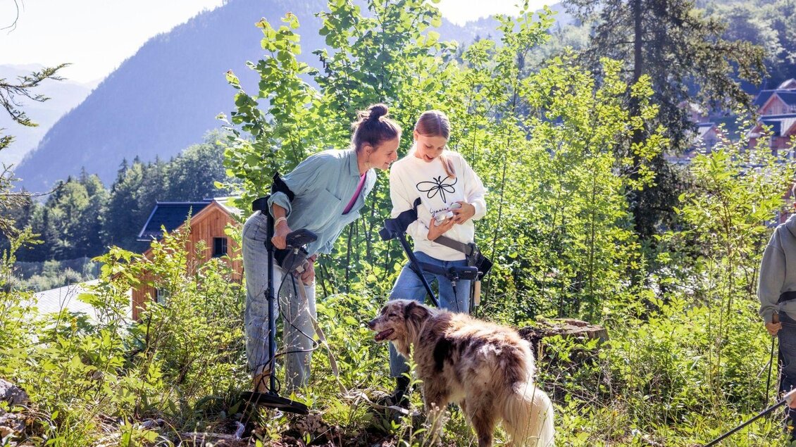 Schatzsucherwald Zloam | © www.zloam.at