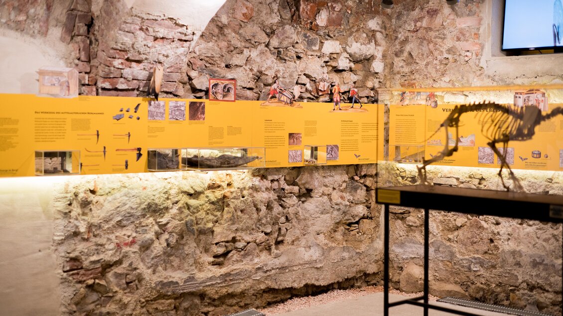 Ein Ausstellungsraum mit einem freiliegenden Steinmauer und einer gelben Wandtafeln, die Informationen und Bilder zeigen. In der Mitte steht ein Ausstellungsstück eines Skeletts. | © Anita Fössl