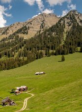 Hinteregger Almen | © Christian Scheucher | © Christian Scheucher