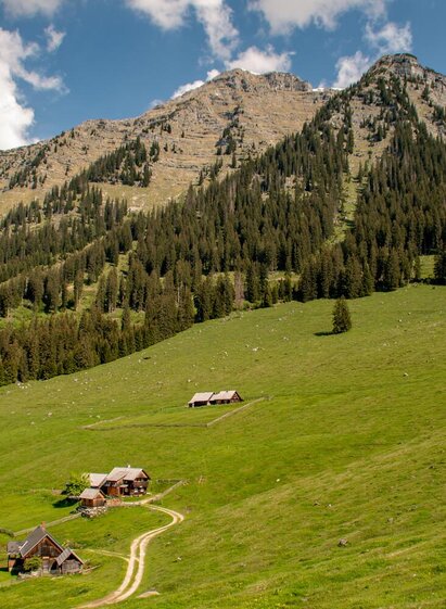 Hinteregger Almen | © Christian Scheucher