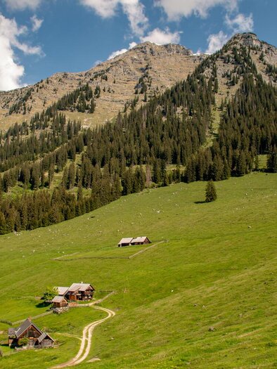 Hinteregger Almen | © Christian Scheucher