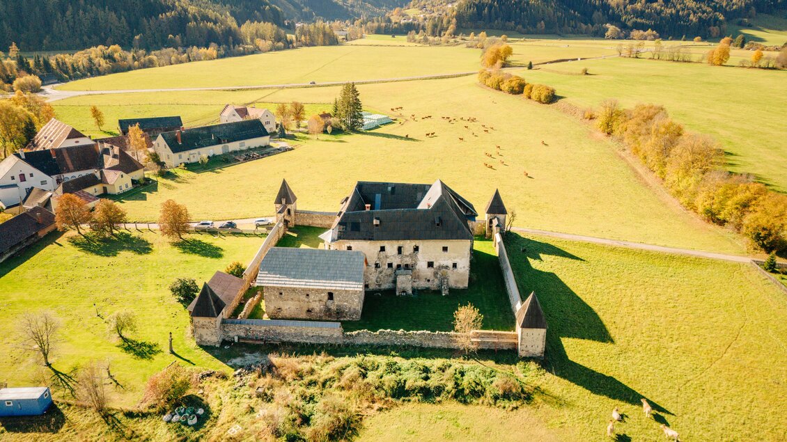 Eine alte Burg umgeben von grünen Wiesen und sanften Hügeln. Im Hintergrund sind die Berge sichtbar und der Himmel ist klar. | © Karl Steinergger