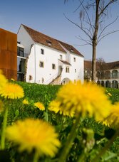 Hartberg Castle_Flowers_Eastern Styria | © Tourismusverband Oststeiermark | Bernhard Bergmann | © Tourismusverband Oststeiermark