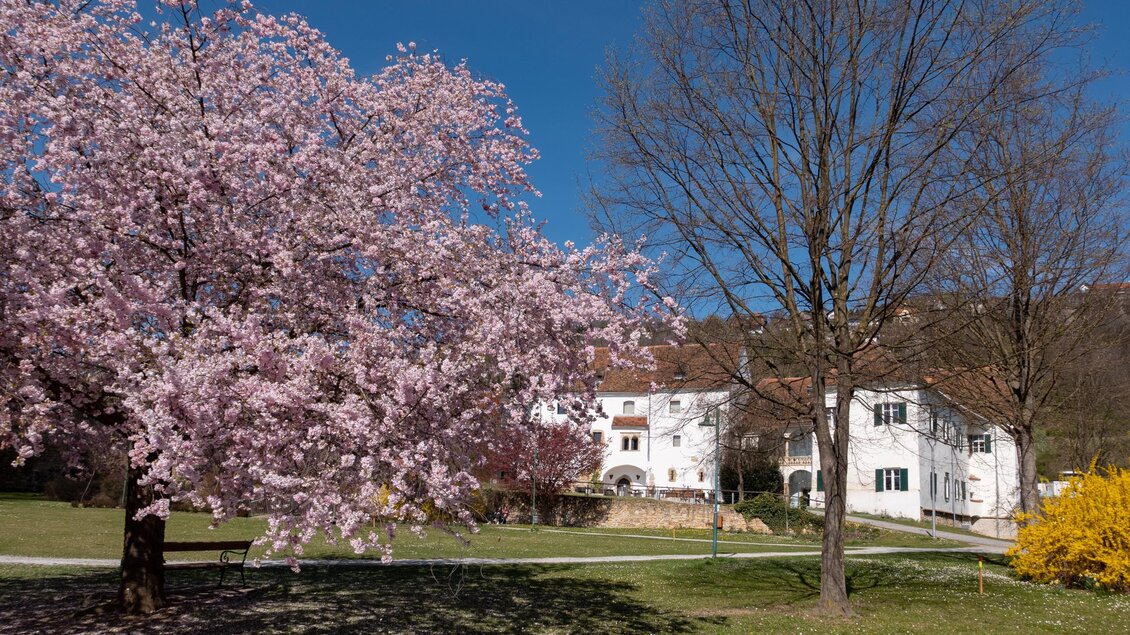 Schlosspark Hartberg_Oststeiermark | © Bernhard Bergmann