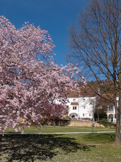 Schlosspark Hartberg_Oststeiermark | © Bernhard Bergmann