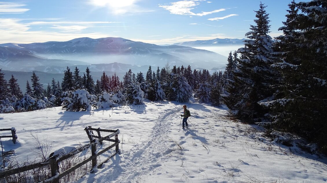 Eine winterliche Landschaft mit Schnee und hohen Tannen. Im Vordergrund läuft eine Person auf einem schneebedeckten Pfad. | © Weges